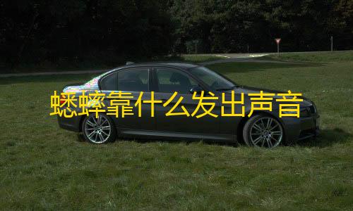 第五人格透视辅助下载蟋蟀靠什么发出声音